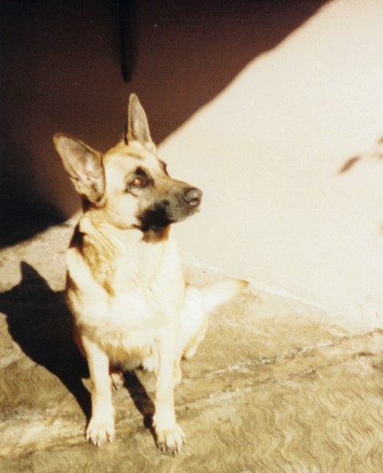 Una mañana Tomando el sol